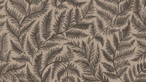 Ferns 7793